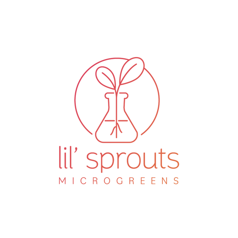 lil' sprouts Microgreens logo